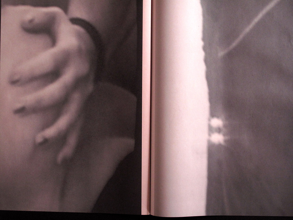 Roses Tatouées Fall 2007