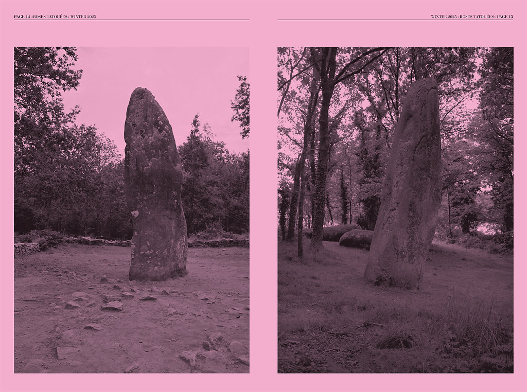 Roses Tatouées Winter 2025