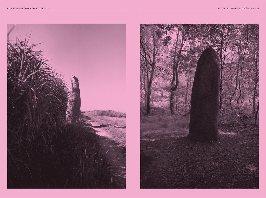 Roses Tatouées Winter 2025