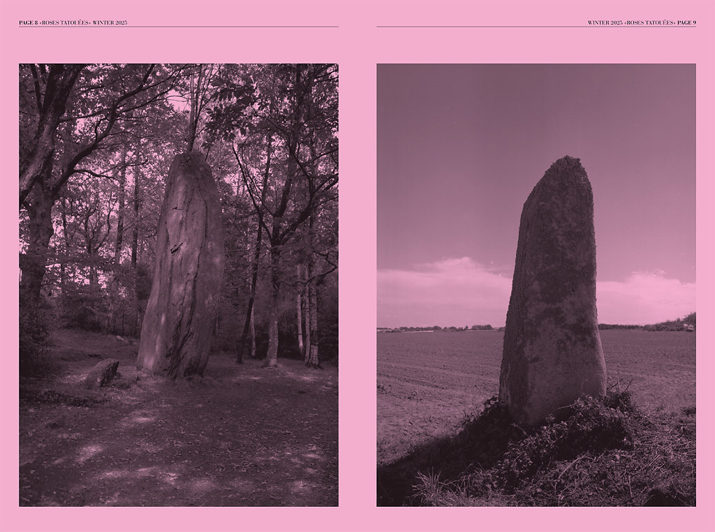 Roses Tatouées Winter 2025