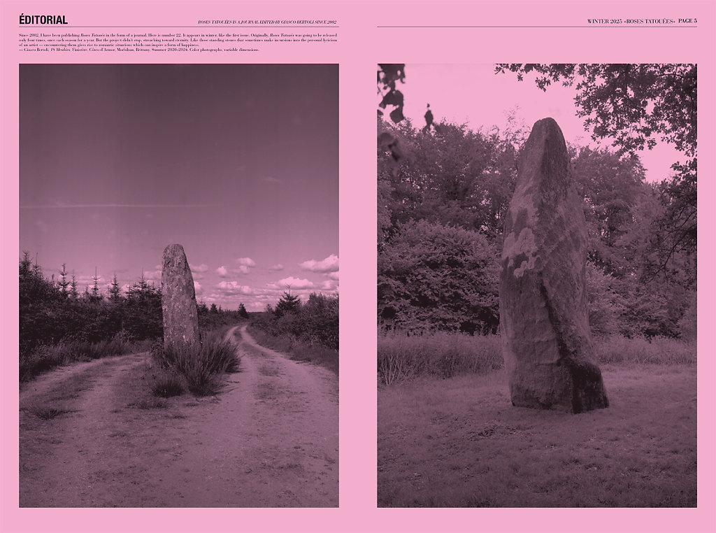 Roses Tatouées Winter 2025